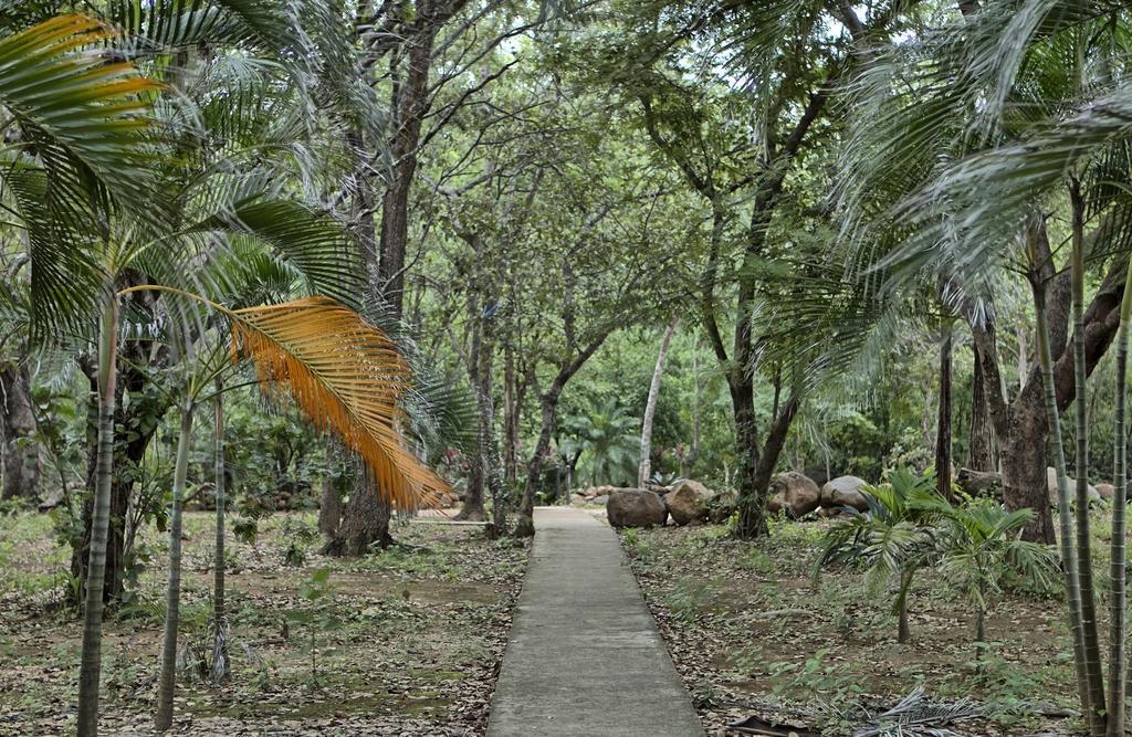 Canon De La Vieja Lodge Liberia Dış mekan fotoğraf